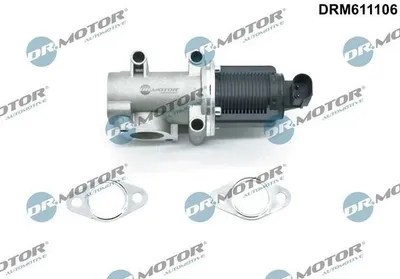 Produktbild von DR.MOTOR AUTOMOTIVE DRM611106 AGR-Ventil mit Dichtung für ALFA ROMEO 147 (937) Abgasrückführungsventil