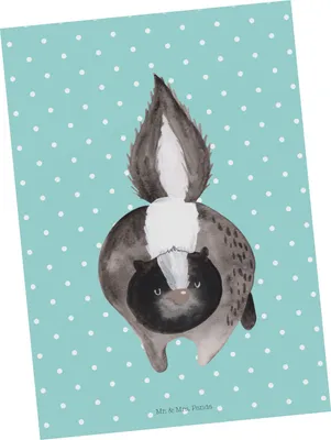 Produktbild von Mr. & Mrs. Panda Postkarte Stinktier Angriff - Türkis Pastell - Geschenk, Wildtier, bildkarte, Postkarten, Skunk, Grußkarte, Drohung, Raubtier, wütend, Ansichtskarte