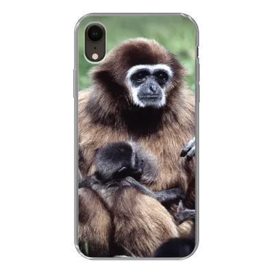 Produktbild von MuchoWow® Handyhülle Schutzhülle Hülle für iPhone XR Affe - Pflanzen - Jung Silikon Softcase Handy Hülle - Schutzdeckel
