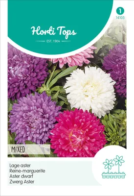 Obrázek produktu pro Směs trpasličích aster | Semena aster od Hortitops
