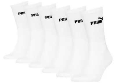 Obrázok produktu pre Puma ELEMENTS Sportcrew – balenie 6 párov bielych ponožiek: veľkosť 35-38