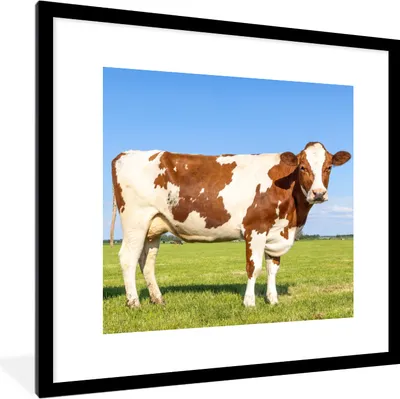 Produktbild von MuchoWow® Gerahmtes Poster Kühe - Bauernhof - Gras - Natur - Tiere 40x40 cm - Poster mit Schwarzem Bilderrahmen Wandposter Rahmen Foto Bilder - Poster - Plakat im Rahmen