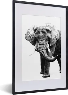 Produktbild von MuchoWow® Gerahmtes Poster Elefant vor weißem Hintergrund - schwarz und weiß 40x60 cm - Poster mit Schwarzem Bilderrahmen Wandposter Rahmen Foto Bilder - Poster in Rahmen