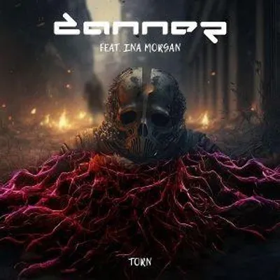 Produktbild von Torn