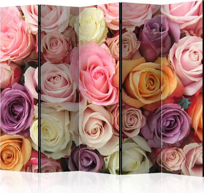 Produktbild von Akusticher Raumteiler Blumen Foto Paravent 225x172 cm beidseitig auf Vlies-Leinwand bedruckt Akustikschaum Trennwand Spanische Wand Sichtschutz Home Office Natur Botanik Rosen b-C-0429-z-c