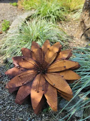 Produktbild von Edelrost Blume Penelope