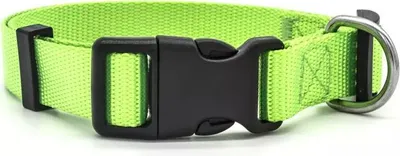 Immagine prodotto di Collare per cani / Verde L