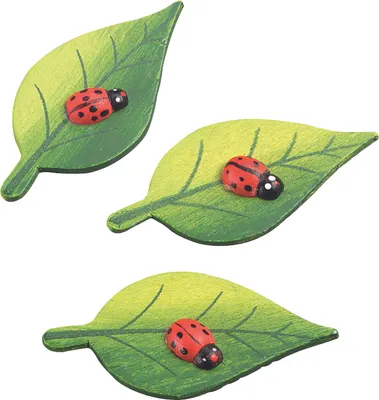 Produktbild von 5XKNORR prandell 218002436 Blatt M.käfer3cm