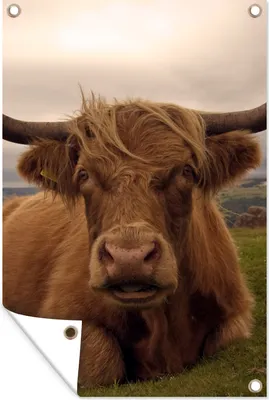 Produktbild von MuchoWow® 40x60 cm Outdoor-Poster Gartendeko Sichtschutz Garten Poster für den Garten  Schottischer Highlander - Tiere - Berg