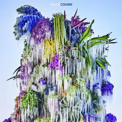 Image de Wilco : Cousin