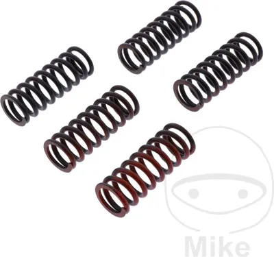 Immagine prodotto di TRW MEF318-5 Kit molla della frizione