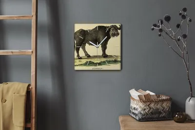 Produktbild von Coloray Hodiny Unikátní 30x30 cm  Tiché hodiny Pro obývací pokoj a kuchyň Nástěnné hodiny Plátno Bílé ručičky hodin - Kreslení zvířat v buvolu