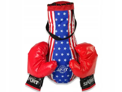 Image de Petit set de boxe sac + gants