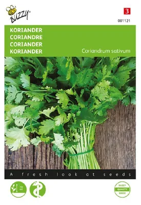 Imagen del producto de Buzzy Seeds: Semillas de cilantro, variedad "Koriander grootzadig", hierbas aromáticas - 1 paquete de semillas
