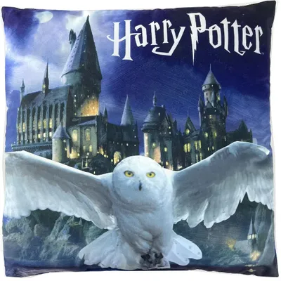 Produktbild von Aymax Harry Potter Kissen mit Tasche, 40 x 40 cm
