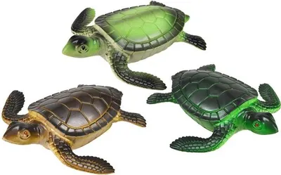 Image de Tortue MIX - Trifox