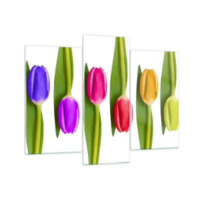 Produktbild von Bilder auf glas - Tulpe Blume Garten Komposition - 130x100cm - Glasbilder - Wandbilder - Kunstdruck - zum Aufhängen bereit - Wanddekoration aus Glas - Glas Bilder - Wandbild auf Glas - GCB130x100-2360