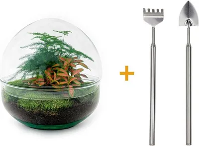 Immagine prodotto di Terrario fai da te - Cupola rossa - ↕ 20 cm