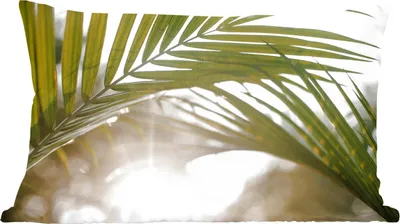 Produktbild von MuchoWow® Zierkissen Sofakissen Wohnzimmer Dekokissen 50x30 cm Palme - Palmenblatt - Sonne - Sommer - Wohnzimmerdekoration - Polster mit Photo