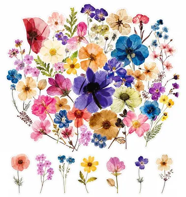 50 transparente Blumen-Sticker, 60 Motive, 4–8 cm, für Scrapbooking