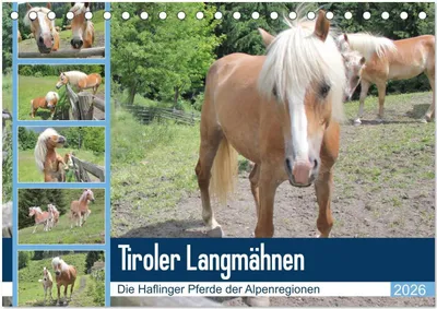 Produktbild von Tiroler Langmähnen (Tischkalender 2026 DIN A5 quer), CALVENDO Monatskalender