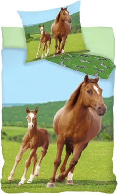 Zdjęcie produktu dla Zestaw pościeli z koniem i źrebakiem 2 części 135x200 cm (80x80 cm)