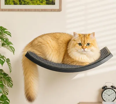 Produktbild von Katzenregal gebogen mit Kratzmatte, Wandmontage, Holz, für Innenbereich