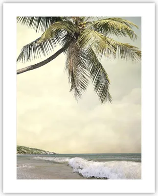 Produktbild von Poster - Poster ohne Rahmen - Palme Strand Insel - 40x50 cm - Wand Bild - Wanddeko - Wandbilder - Kunstposter - Wandposter - Bilder - Kunstdruck - Wanddekoration - Wandbild - P2XPA40x50-4154
