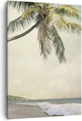 Produktbild von Bild auf Leinwand - Leinwandbild - Einteilig - Palme Strand Insel - 50x70cm - Wand Bild - Wanddeko - Wandbilder - Leinwanddruck - Wanddekoration - Leinwand bilder - Wandbild - PA50x70-4154