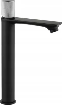 Image de Mélangeur lavabo haut Royo One, noir/chrome (72211-77)