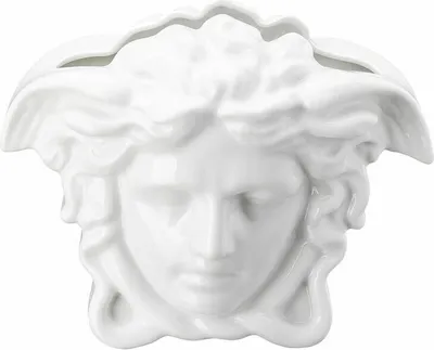 Obrázok produktu pre Rosenthal 14493-800001-26021, Porcelán, Medusa Grande, 210 mm