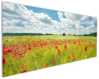 Produktbild von Wallario Küchenrückwand aus Glas, Größe: 125 x 50 cm, Motiv: Grüne Wiese mit Mohnblumen | Spritzschutz | abwischbar | pflegeleicht | in