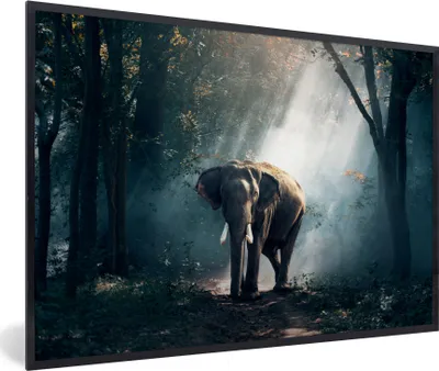 Produktbild von MuchoWow® Gerahmtes Poster Elefant - Tiere - Licht - Wald - Natur - Wildtiere 90x60 cm - Poster mit Schwarzem Bilderrahmen Wandposter Rahmen Foto Bilder - Fotorahmen - Foto-Plakat