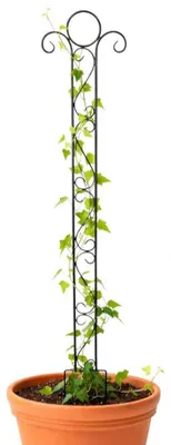 Obrázek produktu pro Klasická podpěra pro šplhání Kovová mříž 135 cm Pomůcka pro šplhání Zemní zástrčka Zástrčka