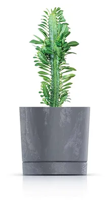 Obrázok produktu pre Kvetináč Tubo P Beton Effect Vnútorné a vonkajšie použitie Tradičný kvetináč Plastový kvetináč 292 mm Farba Marengo