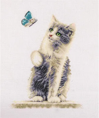 Obrázek produktu pro Vyšívací sada Dutch Stitch Brothers "Cat with Butterfly Aida", počítan