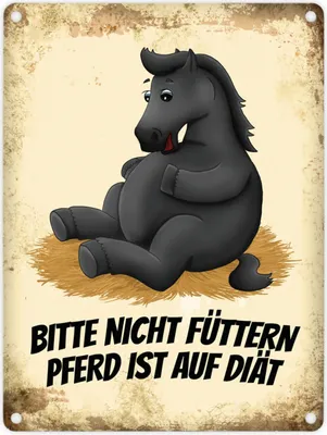 Produktbild von Metallschild mit schwarzes Pferd Motiv und Spruch: Bitte nicht füttern - Pferd