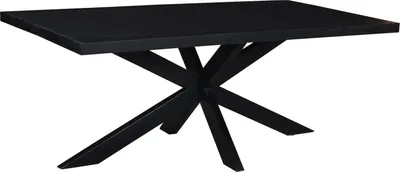 Tisch Kala 200x100x76 cm Mangoholz Stahl Schwarz_Natur24