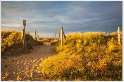 Produktbild von Wallario Wandbild Düne am Strand bei Sonnenuntergang in Frankreich, Größe: 61 x 91,50 cm, Poster mit weißem Aluminiumrahmen