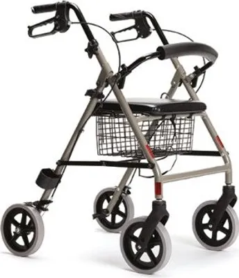 Produktbild von Leichtgewicht-Rollator ECO-light II mit Sitz und Rückenstütze champagner>>>>