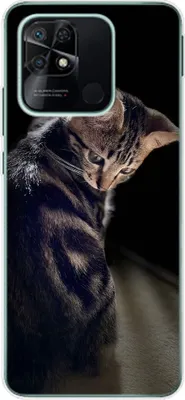 Produktbild von König Design Hülle kompatibel mit Xiaomi Redmi 10C Kunststoff Soft Handyhülle - Handy Case Junge Katze