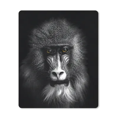 Produktbild von MuchoWow® Mauspad Mousepad Affe - Tiere - Augen - Braun - Schwarz und weiß 30x40 cm - Mousepads - Maus Mat - Pad - Mausunterlage - Mausmatten