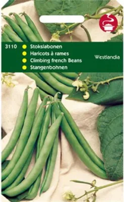 Produktbild von Stangenbohnen Westländer (100 g) | Stangenbohnensamen von Hortitops