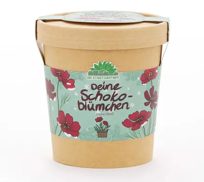 Produktbild von Stadtgärtner Schokoblume aus dem Becher 1Stück