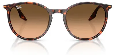 Produktbild von Ray-Ban Sonnenbrille RB 2204 14293B
