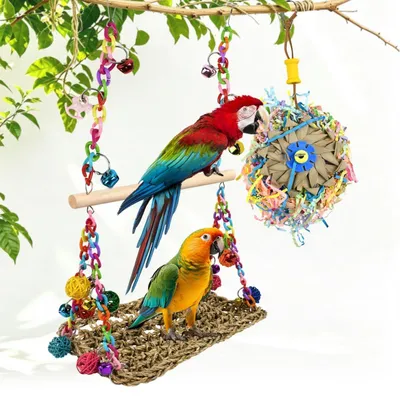 Produktbild von Vogelspielzeug Vogelschaukel mit Kauspielzeug für Wellensittiche Nymphensittiche Agaporniden Finken 48x30x20 cm Naturmaterialien 2-in-1 Set