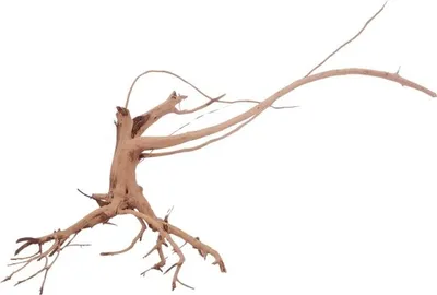 Produktbild von M Siennawurzel Nr.3246 Wurzel Holz Aquarium Deko Aquascaping