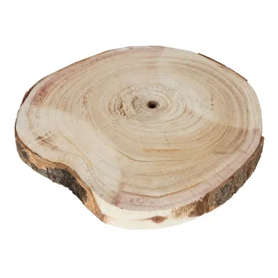 Image de Disque de tronc d'arbre 26x3cm