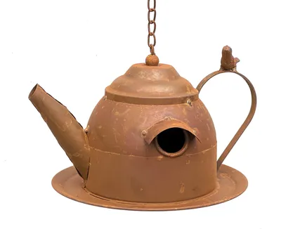 Produktbild von DanDiBo Vogelhaus zum Aufhängen Edelrost Deko Rost Gießkanne Wetterfest 96423 Nistkasten Futterstation für Vögel Shabby mit Kette hängend Metallkanne Kanne Balkon