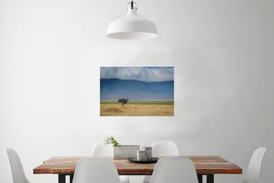 Produktbild von MuchoWow® Poster Strauß inmitten der Savanne des Ngorongoro-Kraters in Tansania 60x40 cm - Schlafzimmerdekoration